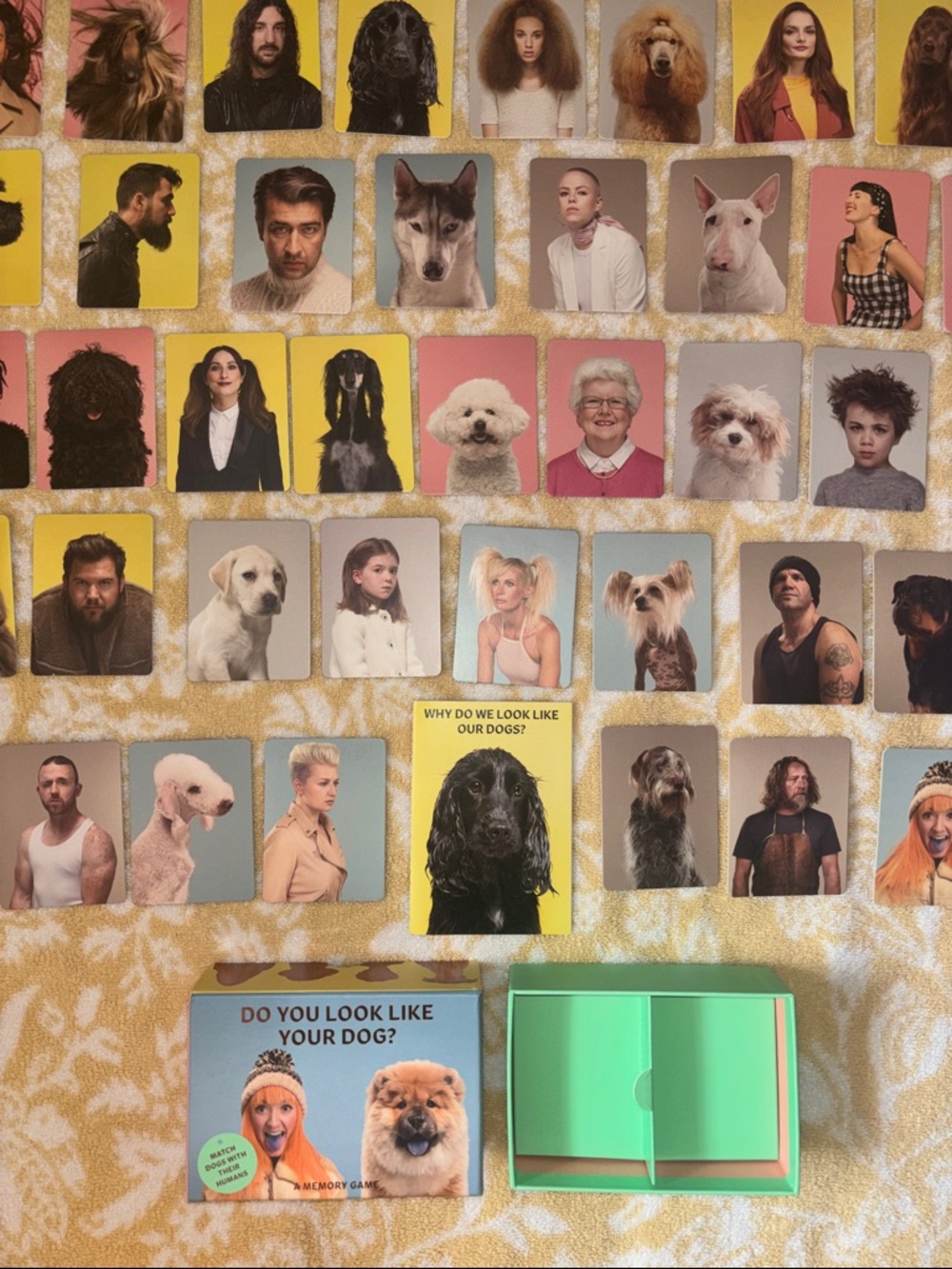 Do You Look Like Your Dog? Memory Game - Green